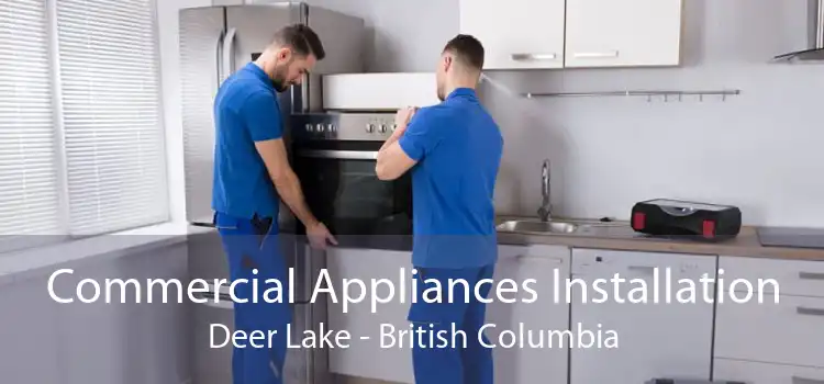 Commercial Appliances Installation Deer Lake - British Columbia