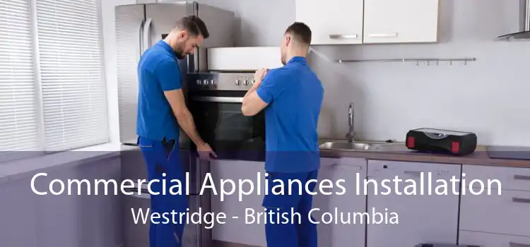 Commercial Appliances Installation Westridge - British Columbia