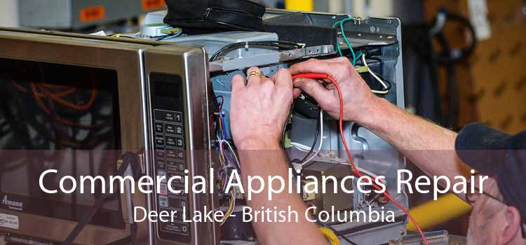 Commercial Appliances Repair Deer Lake - British Columbia