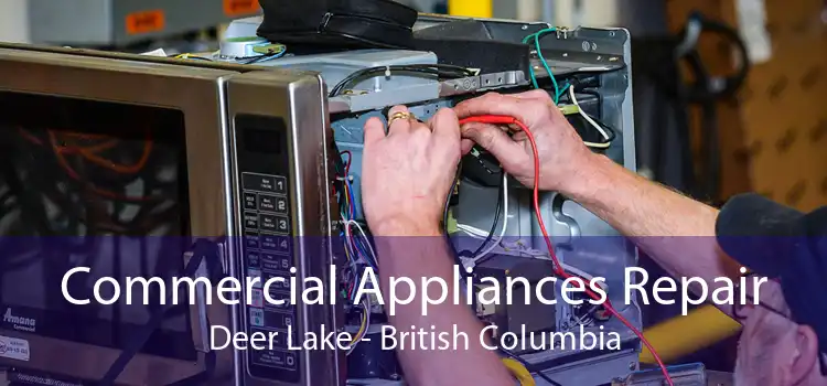 Commercial Appliances Repair Deer Lake - British Columbia