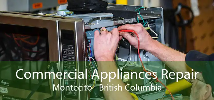 Commercial Appliances Repair Montecito - British Columbia