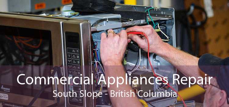 Commercial Appliances Repair South Slope - British Columbia