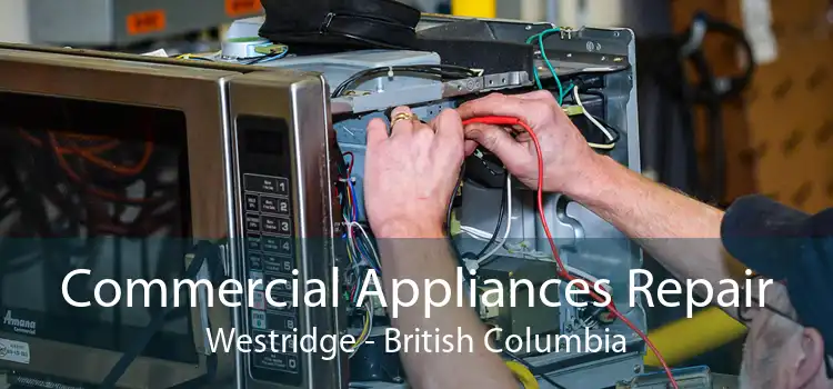Commercial Appliances Repair Westridge - British Columbia