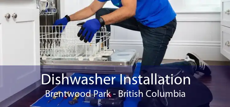 Dishwasher Installation Brentwood Park - British Columbia