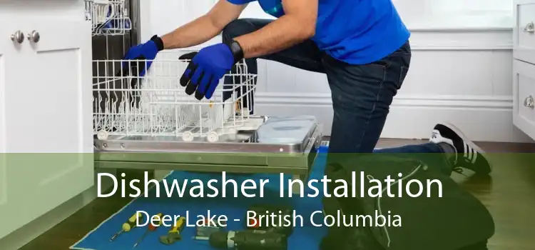 Dishwasher Installation Deer Lake - British Columbia