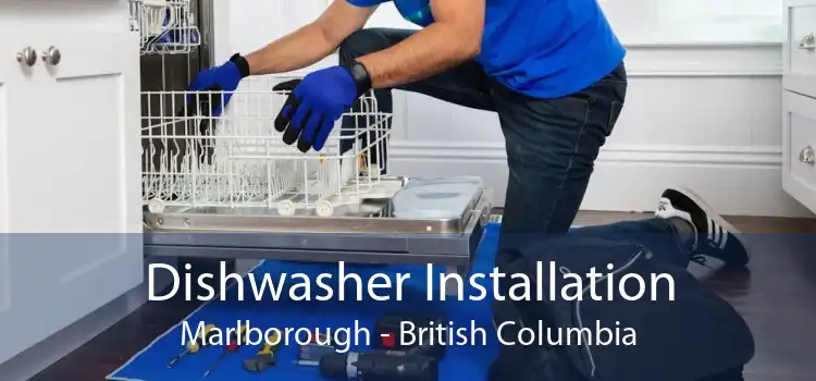 Dishwasher Installation Marlborough - British Columbia