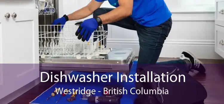 Dishwasher Installation Westridge - British Columbia