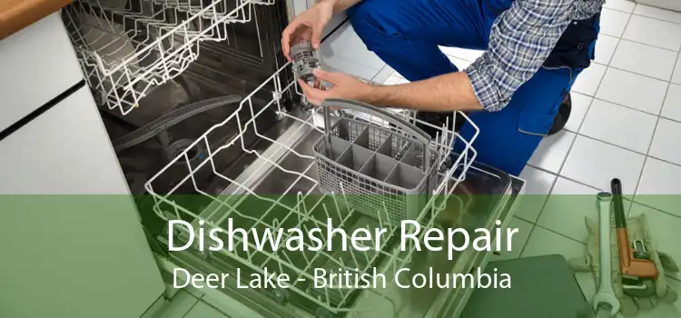 Dishwasher Repair Deer Lake - British Columbia