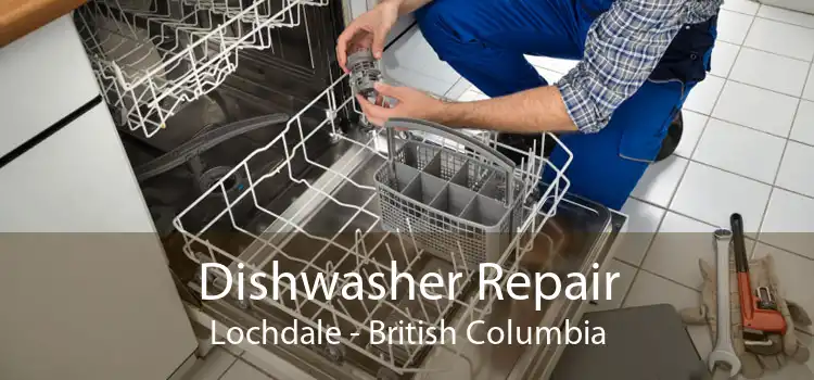Dishwasher Repair Lochdale - British Columbia