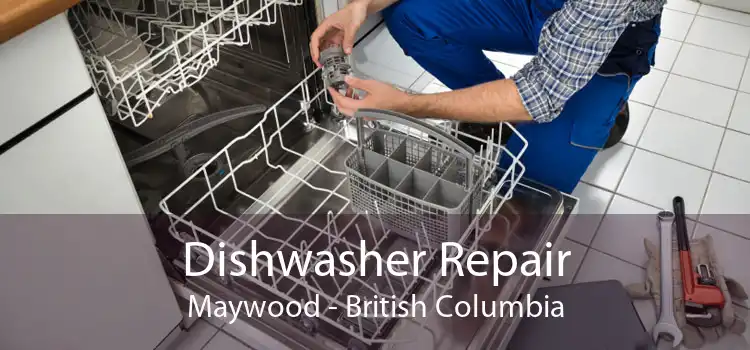 Dishwasher Repair Maywood - British Columbia