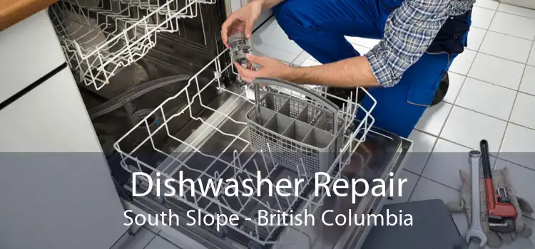 Dishwasher Repair South Slope - British Columbia