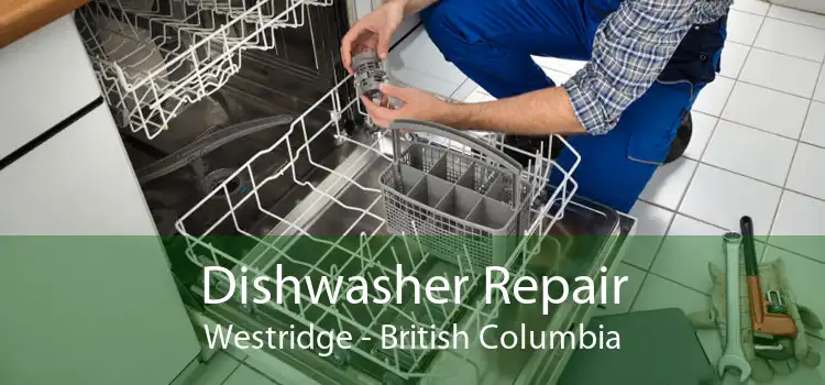 Dishwasher Repair Westridge - British Columbia