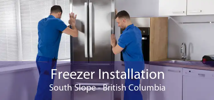 Freezer Installation South Slope - British Columbia