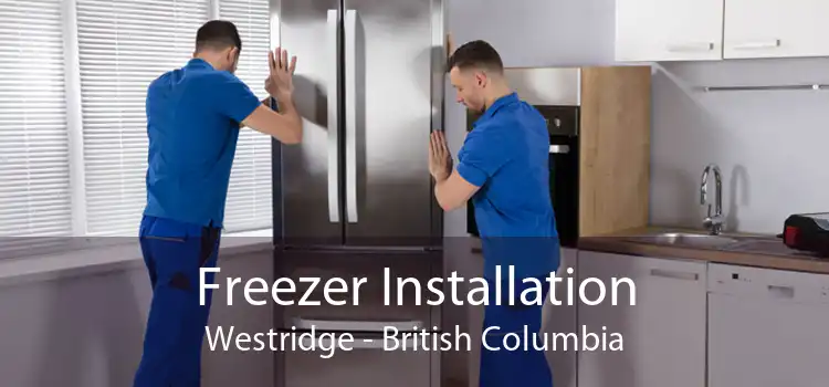 Freezer Installation Westridge - British Columbia