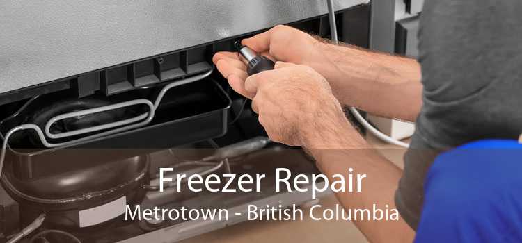 Freezer Repair Metrotown - British Columbia