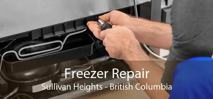 Freezer Repair Sullivan Heights - British Columbia