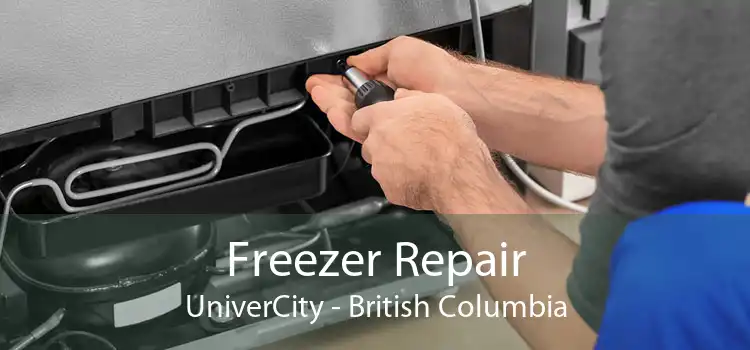 Freezer Repair UniverCity - British Columbia
