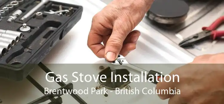 Gas Stove Installation Brentwood Park - British Columbia