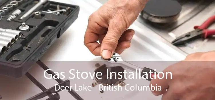Gas Stove Installation Deer Lake - British Columbia