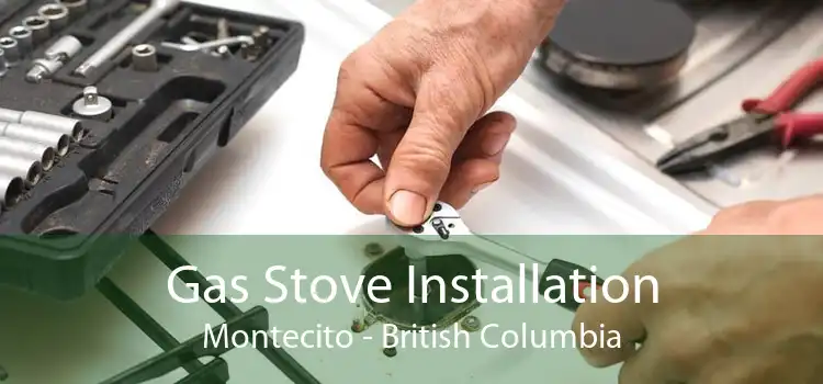 Gas Stove Installation Montecito - British Columbia