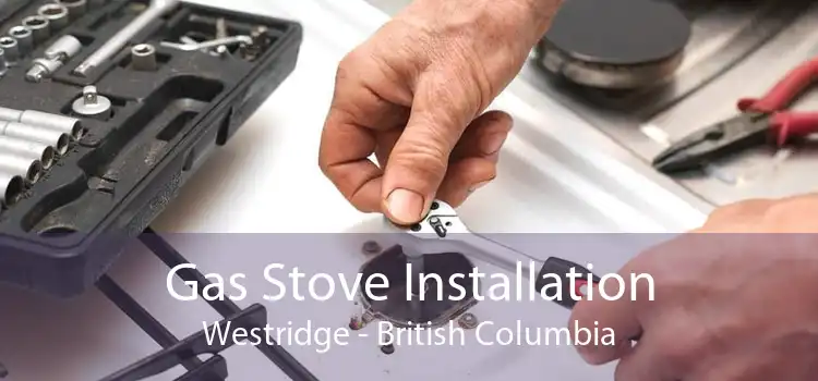 Gas Stove Installation Westridge - British Columbia