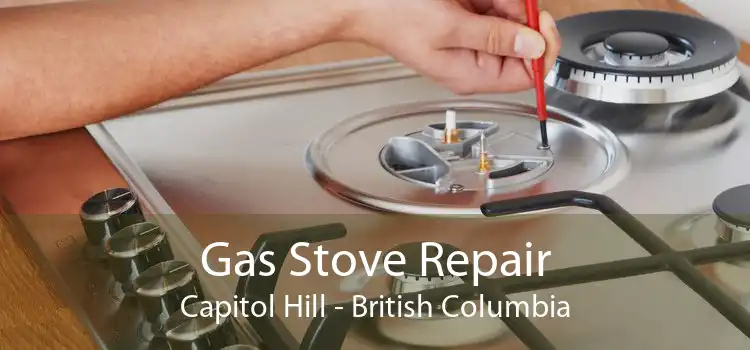 Gas Stove Repair Capitol Hill - British Columbia