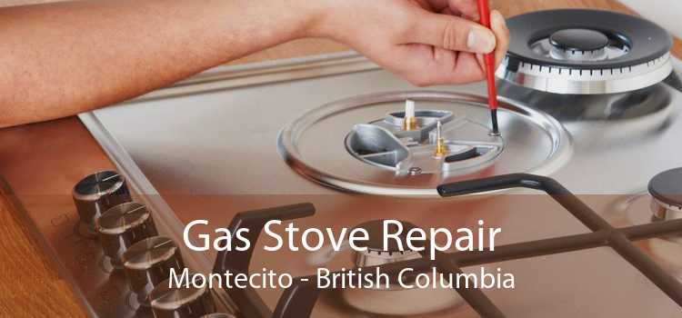 Gas Stove Repair Montecito - British Columbia