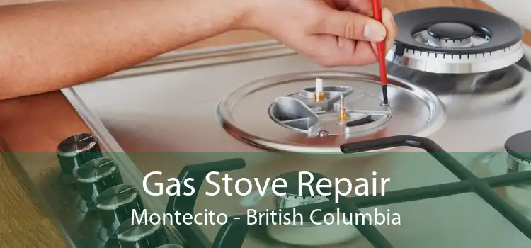 Gas Stove Repair Montecito - British Columbia