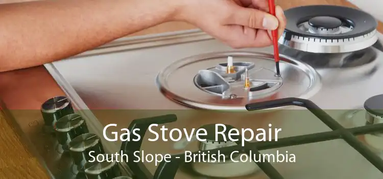 Gas Stove Repair South Slope - British Columbia