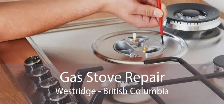 Gas Stove Repair Westridge - British Columbia