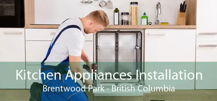 Kitchen Appliances Installation Brentwood Park - British Columbia