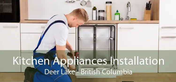 Kitchen Appliances Installation Deer Lake - British Columbia