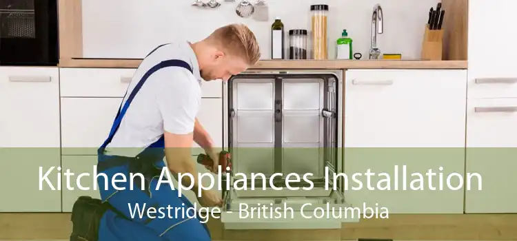 Kitchen Appliances Installation Westridge - British Columbia