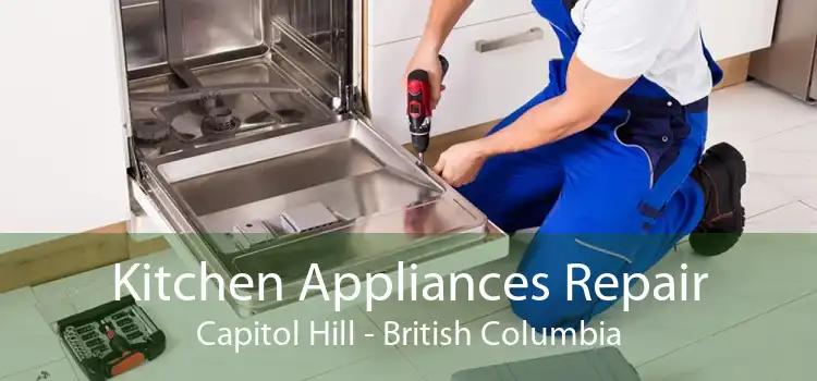 Kitchen Appliances Repair Capitol Hill - British Columbia