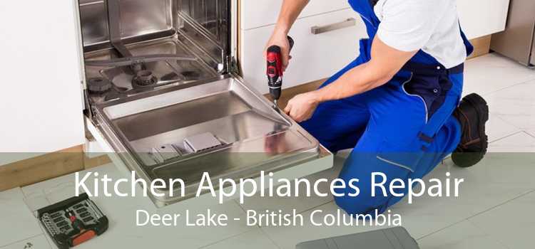 Kitchen Appliances Repair Deer Lake - British Columbia