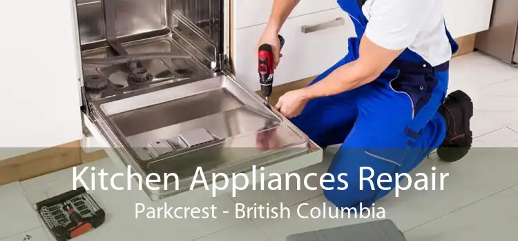 Kitchen Appliances Repair Parkcrest - British Columbia