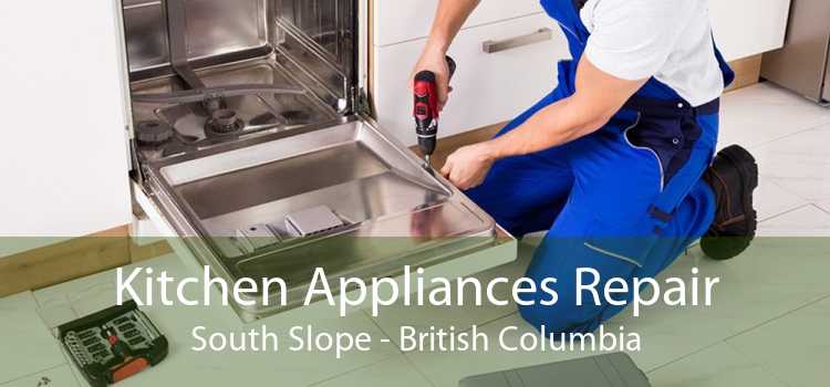 Kitchen Appliances Repair South Slope - British Columbia