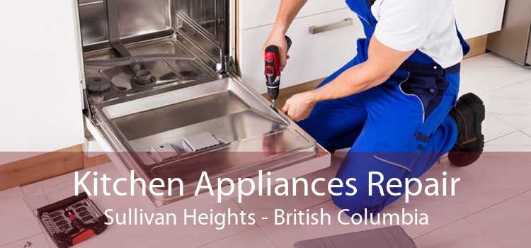 Kitchen Appliances Repair Sullivan Heights - British Columbia