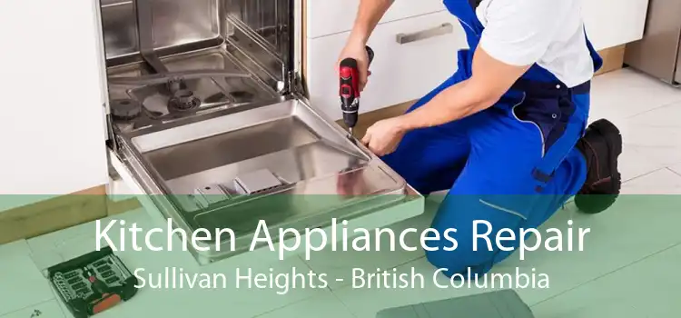 Kitchen Appliances Repair Sullivan Heights - British Columbia
