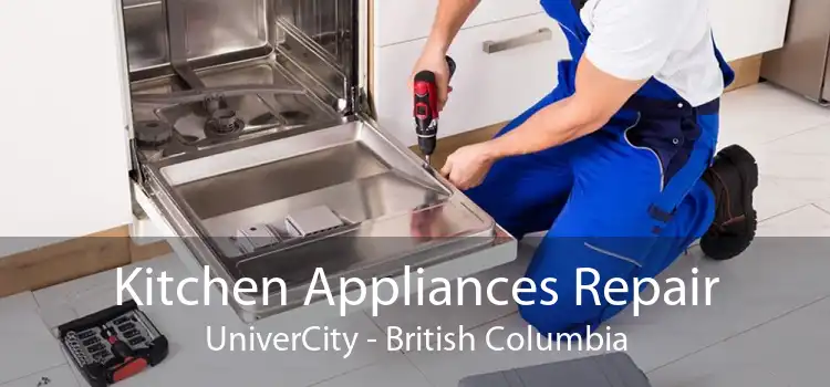 Kitchen Appliances Repair UniverCity - British Columbia