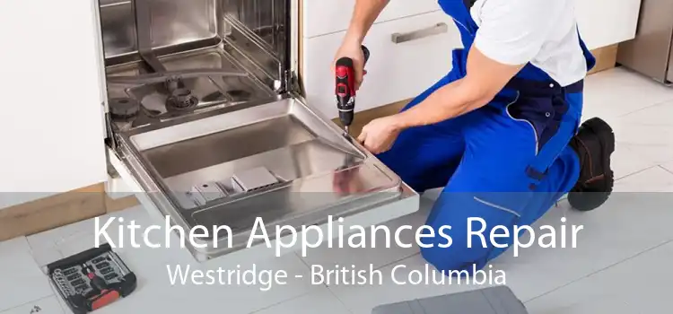 Kitchen Appliances Repair Westridge - British Columbia
