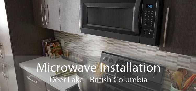 Microwave Installation Deer Lake - British Columbia