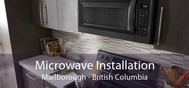 Microwave Installation Marlborough - British Columbia
