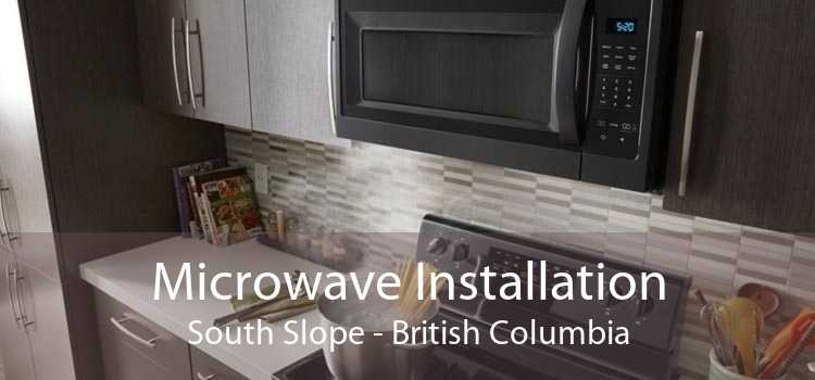 Microwave Installation South Slope - British Columbia