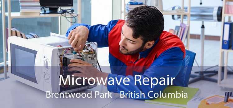 Microwave Repair Brentwood Park - British Columbia