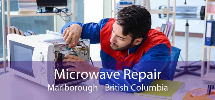 Microwave Repair Marlborough - British Columbia