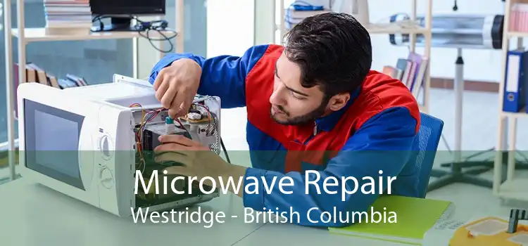 Microwave Repair Westridge - British Columbia