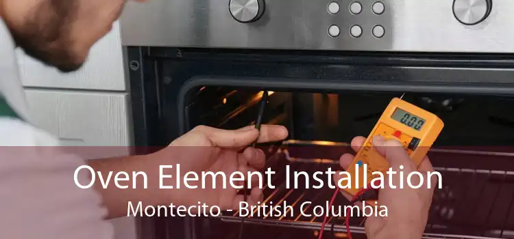 Oven Element Installation Montecito - British Columbia