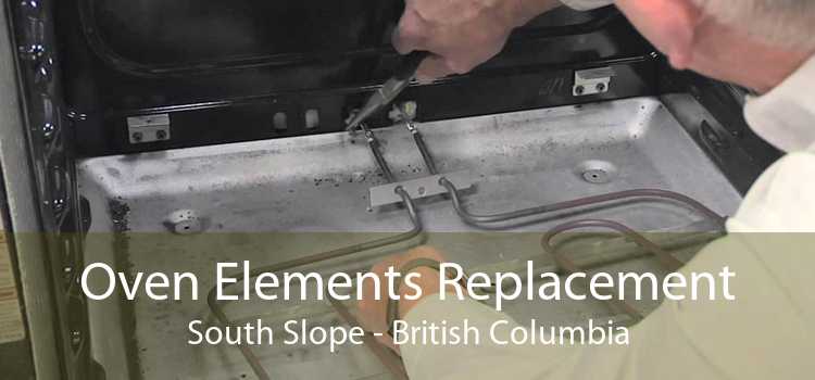 Oven Elements Replacement South Slope - British Columbia
