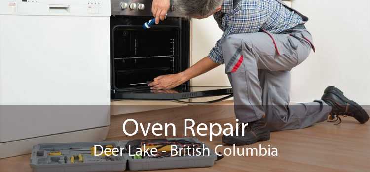 Oven Repair Deer Lake - British Columbia